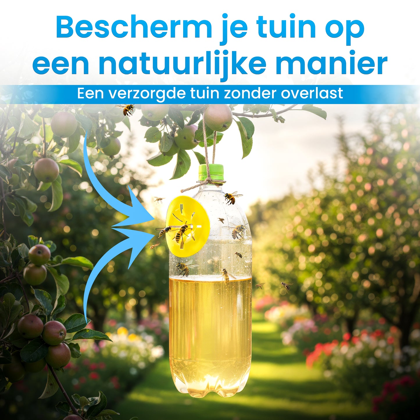 Aziatische hoornaarval